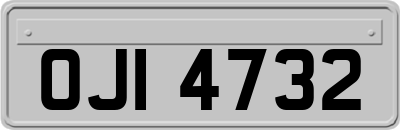OJI4732