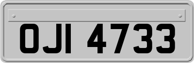 OJI4733