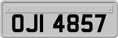 OJI4857