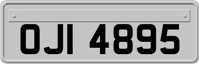 OJI4895
