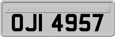 OJI4957