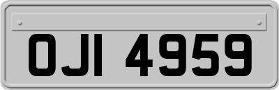 OJI4959