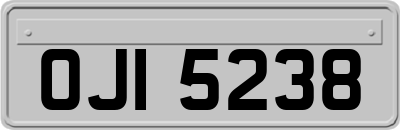 OJI5238