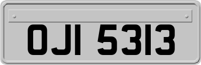 OJI5313