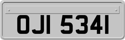 OJI5341