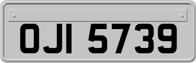 OJI5739