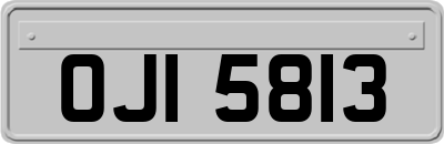 OJI5813