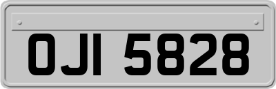 OJI5828