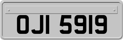 OJI5919