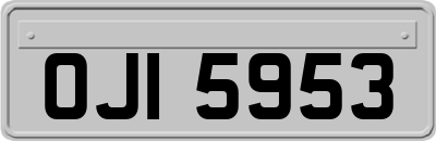 OJI5953