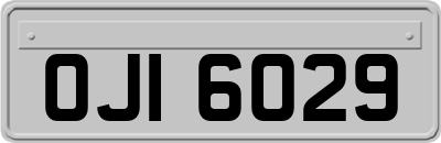 OJI6029