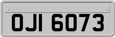 OJI6073