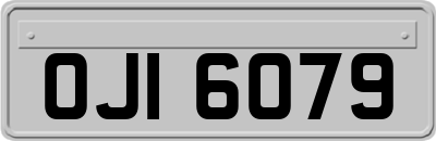 OJI6079