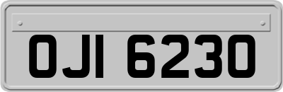 OJI6230