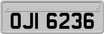 OJI6236