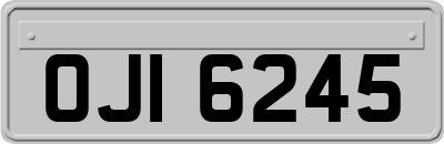 OJI6245