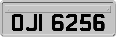 OJI6256
