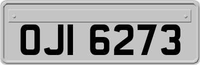 OJI6273