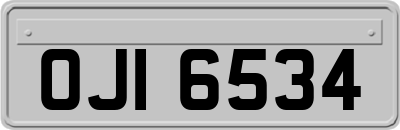 OJI6534