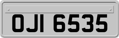 OJI6535