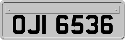 OJI6536