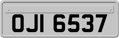 OJI6537