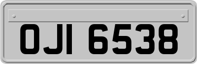 OJI6538