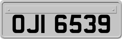 OJI6539