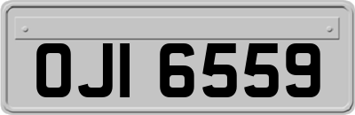 OJI6559