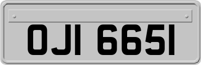 OJI6651