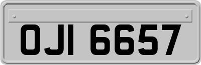 OJI6657