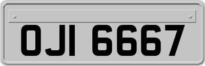OJI6667
