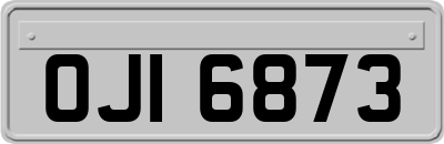 OJI6873