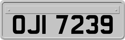 OJI7239