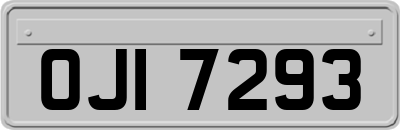 OJI7293