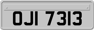 OJI7313