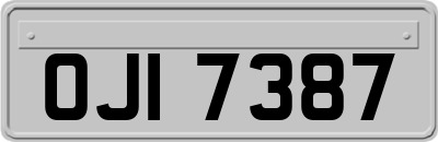OJI7387