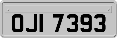 OJI7393