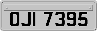 OJI7395