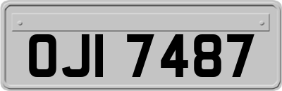 OJI7487