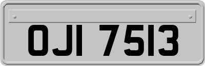 OJI7513