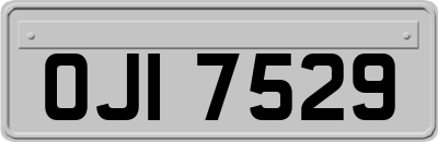 OJI7529