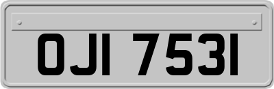 OJI7531