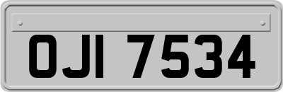 OJI7534