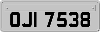 OJI7538