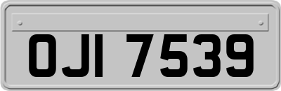 OJI7539