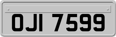 OJI7599