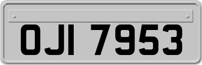 OJI7953
