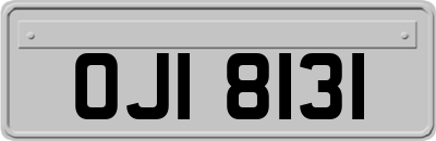 OJI8131