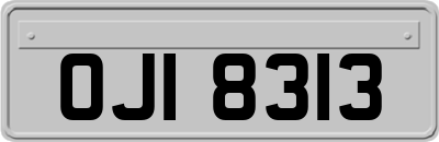OJI8313